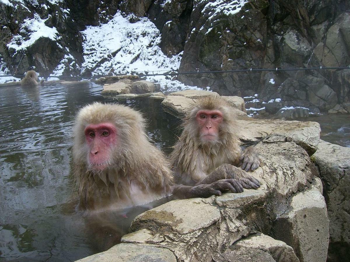 Lodge Jun Hakuba Eksteriør bilde